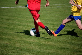 九游游戏中心官网-中国田径队在世界舞台上表现优异，奖牌不断，中国田径队排名